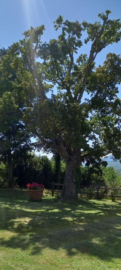 Poggio Al Sole Hotell Fiesole Eksteriør bilde