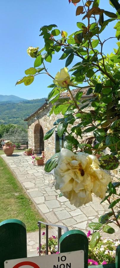 Poggio Al Sole Hotell Fiesole Eksteriør bilde