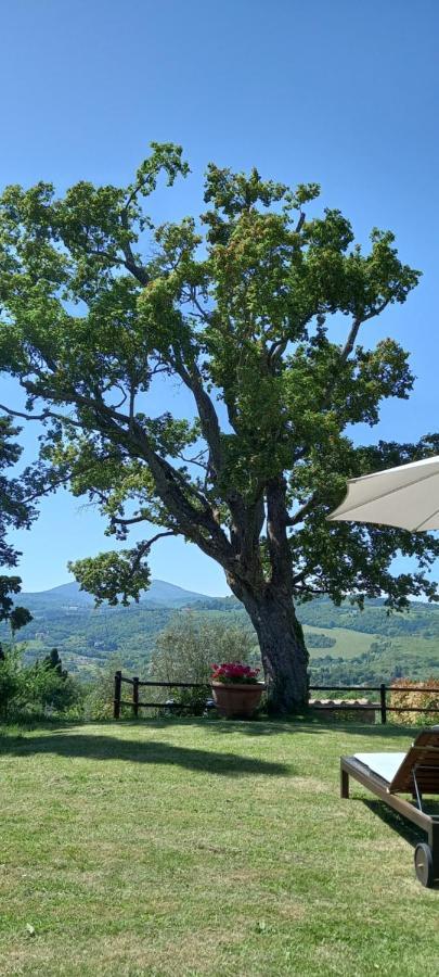 Poggio Al Sole Hotell Fiesole Eksteriør bilde